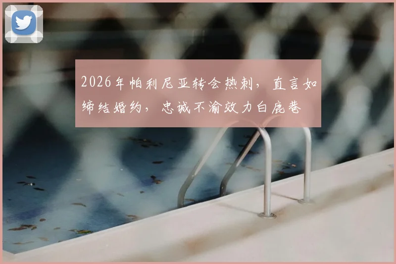 2026年帕利尼亚转会热刺，直言如缔结婚约，忠诚不渝效力白鹿巷
