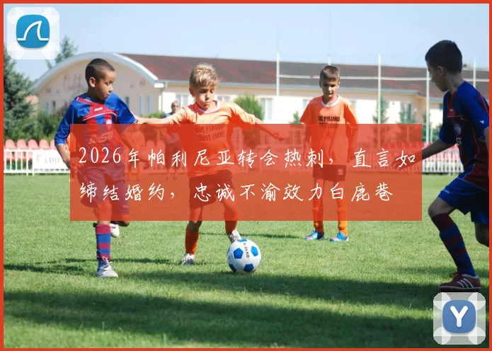 2026年帕利尼亚转会热刺，直言如缔结婚约，忠诚不渝效力白鹿巷